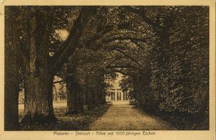 Steinort Kr. Angerburg, Ort, Kreis Angerburg Steinort Kr. Angerburg, Eichenallee V Штайнорт, р-н Ангербург, дубовая аллея, V