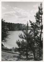  Niedersee, Samordeyer Bucht III Masuren, Niedersee