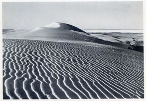  Kurische Nehrung, Wanderdünen IV Куршская коса, бродячие дюны, IV