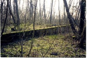 Angerburg Kr. Angerburg, Stadt, Kreis Angerburg Uferpromenade