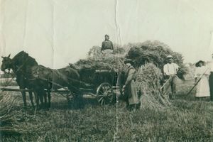 Adlig Linkuhnen, Kreis Elchniederung 