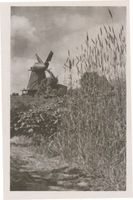  Memelniederung,  Windmühle Memellandschaft
