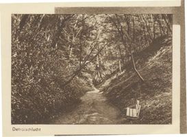Georgenswalde, Kreis Samland Georgenswalde, Detroitschlucht IV 