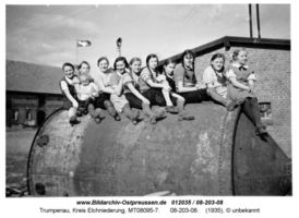 Trumpenau, Kreis Elchniederung 