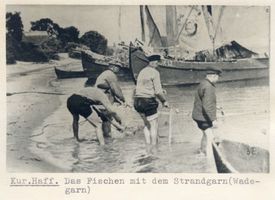  Kurisches Haff, Das Fischen mit dem Strandgarn (Wadegarn) Куршский залив, ловля береговой сетью (вадегарн)
