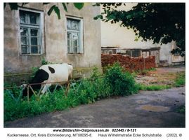 Kuckerneese, Ort, Kreis Elchniederung Wilhelmstraße