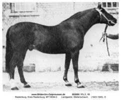 Rastenburg, Stadt, Kreis Rastenburg Sembeckstraße