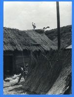  Memelgebiet; Memelländische Landschaft, Storchennest 