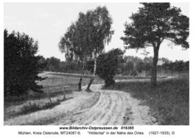 Mühlen, Kreis Osterode 