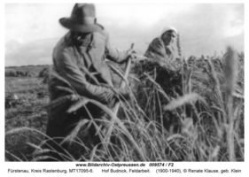 Fürstenau Kr. Rastenburg, Kreis Rastenburg 