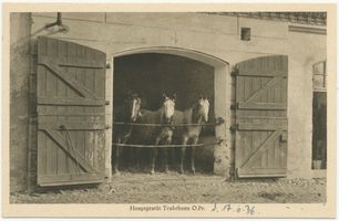 Groß Trakehnen, Kreis Ebenrode 