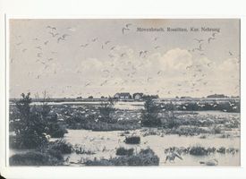 Rossitten Kr. Samland, Kreis Samland 