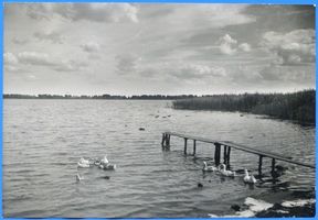 Nikolaiken Kr. Sensburg, Kreis Sensburg Nikolaiken Kr. Sensburg, Am Talter See 