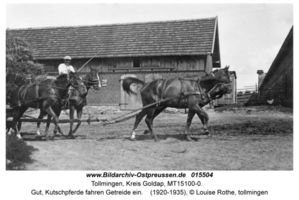 Tollmingen, Kreis Goldap  