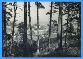 Nidden, Kreis Memel Nidden, Teilansicht Nidden, Landschaft - Ostsee - Umgebung
