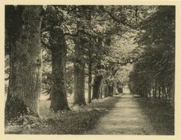 Steinort Kr. Angerburg, Ort, Kreis Angerburg Steinort Kr. Angerburg, Eichenallee III 