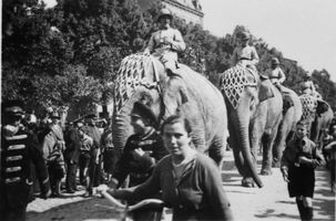 Tilsit, Stadt, Stadtkreis Tilsit Tilsit, Umzug, 1. Mai 1933, Elefanten Tilsit, Veranstaltungen, Feste