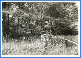  Rominter Heide, Holzbrücke im Wald 