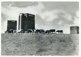 Hohenstein Kr. Osterode, Stadt, Kreis Osterode Hohenstein i. Ostpr., Reichsehrenmal Tannenberg, zerstört Хоэнштайн в Вост. Пруссии, имперский мемориал «Танненберг», разрушенный
