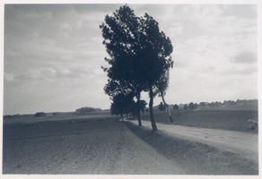  Masuren, Weg 