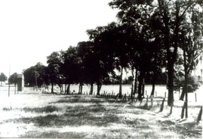 Wargienen Kr. Samland, Kreis Samland 