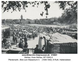 Wehlau, Kreis Wehlau 