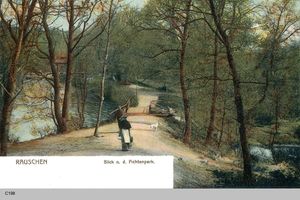 Rauschen Kr. Samland, Kreis Samland 