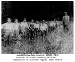 Kastaunen Kr. Elchniederung, Ort, Kreis Elchniederung 