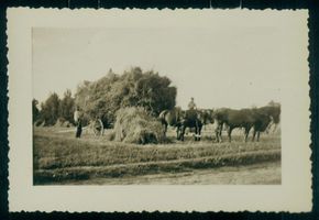 Oberndorf, Kreis Gerdauen 