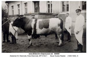 Absteinen Kr. Ebenrode, Kreis Ebenrode 