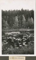  Masuren, Silbersee Masurische Seen