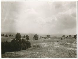  Kurische Nehrung, Landschaft II 