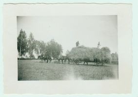 Rosenthal Kr. Gerdauen, Kreis Gerdauen 