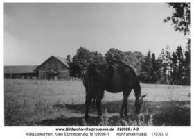 Adlig Linkuhnen, Kreis Elchniederung 