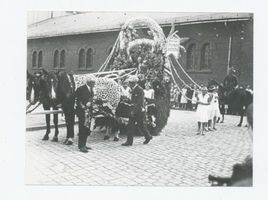 Tilsit, Stadt, Stadtkreis Tilsit Tilsit, Heimatfest 22.-24.08.1930, Prunkwagen der Vereinigten Blumengeschäfte im Festumzug, wo?? 