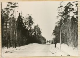 Baubeln Kr. Tilsit-Ragnit, Kreis Tilsit-Ragnit Baubeln Kr. Tilsit-Ragnit, In der Umgebung des Gutes V 