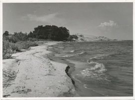  Kurische Nehrung, Haffküste, Möwenhaken und Düne Kurische Nehrung, Dünen