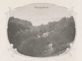 Georgenswalde, Kreis Samland Georgenswalde, Die Gausupschlucht vom Schluchtenrand gesehen Георгенсвальде, ущелье Гаусуп, вид с края ущелья