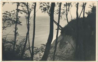  Samländische Steilküste, An der Wolfsschlucht bei Rauschen-Georgenswalde Samländische Steilküste