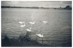 Königsberg (Pr.), Stadtkreis Königsberg Königsberg (Pr.), Am Oberteich XVIII Königsberg, Oberteich