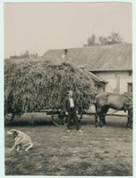 Schönlinde Kr. Gerdauen, Kreis Gerdauen 