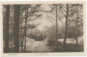 Schwarzort, Kreis Memel Schwarzort, Blocksberg mit Aussichtsturm III 