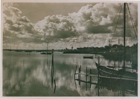  Kurische Nehrung, Rossitten ?? Куршская коса, Росситтен ??