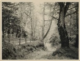 Galtgarben, Kreis Samland Galtgarben, Einzige zugängige Stelle zum Burgberg Гальтгарбен, единственный доступный путь к Замковой горе