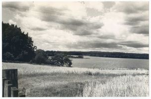 Rhein Kr. Lötzen, Kreis Lötzen Rhein Kr. Lötzen, Rheiner See 