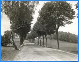  Lyck (Kreis) Masurische Landschaft II 