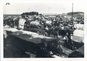 Wehlau, Kreis Wehlau Wehlau, Pferdemarkt auf den Schanzenwiesen Велау, конный рынок на Шанценвизен