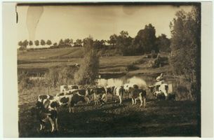 Schönlinde Kr. Gerdauen, Kreis Gerdauen 