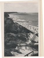 Rauschen Kr. Samland, Kreis Samland Rauschen Kr. Samland, Blick auf die Strandpromenade III Раушен, округ Самбия, вид на пляжный променад, III