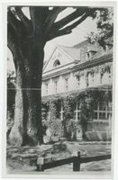 Groß Trakehnen, Kreis Ebenrode Groß Trakehnen, Hotel Elch Гросс-Тракенен, отель «Эльх»